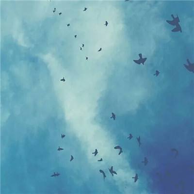 北单足球比赛结果sp值