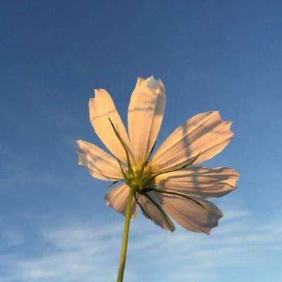 澳门人威尼斯3966app下载