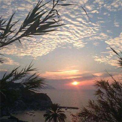 开全站登录app手机app下载