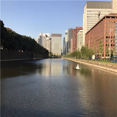 幸运彩票手机app下载