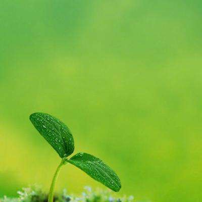 ag娱乐平台游戏中心手机app下载