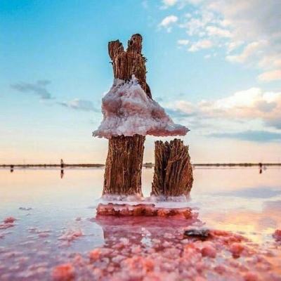 双博体育娱乐线上