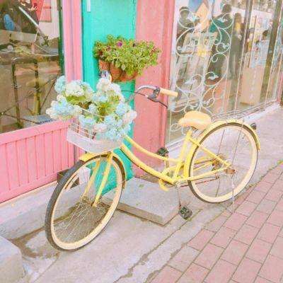 亚博网APP最新版本手机版