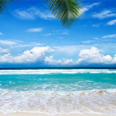 火狐电竞下载手机版