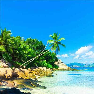 万博ManBetX登录网页版下载手机版