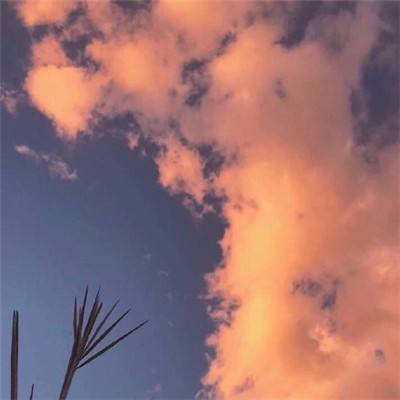 ag娱乐平台游戏中心手机app下载截图