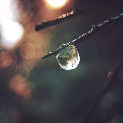 亚博棋牌app下载