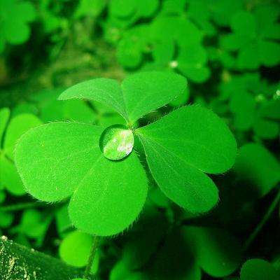 云开全站app下载手机版