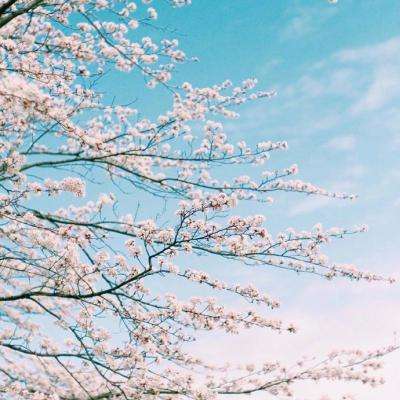 富翁彩票大厅～welcome