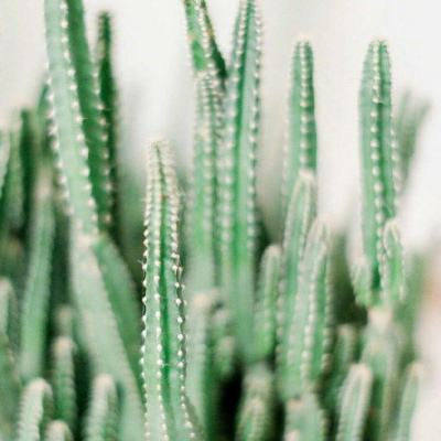 奇异果体育app下载